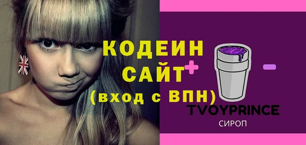 прущие грибы Горняк