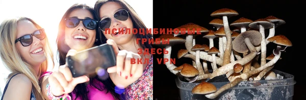 мдпв Горнозаводск