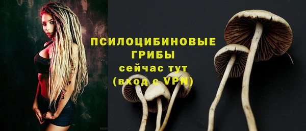 мдпв Горнозаводск