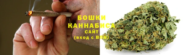 мдпв Горнозаводск