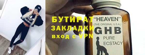 прущие грибы Горняк