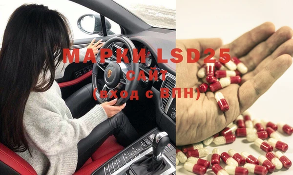 мдпв Горнозаводск