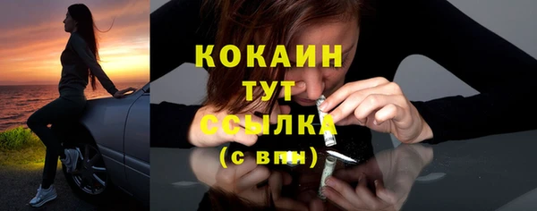 прущие грибы Горняк