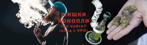 прущие грибы Горняк