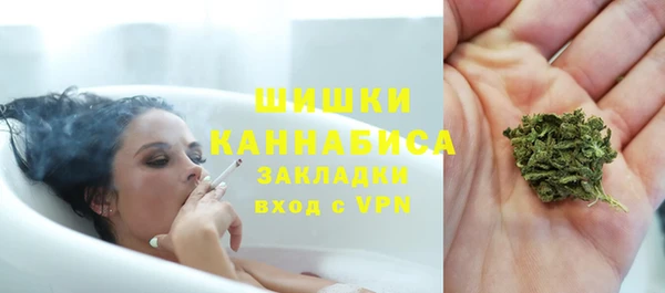 прущие грибы Горняк