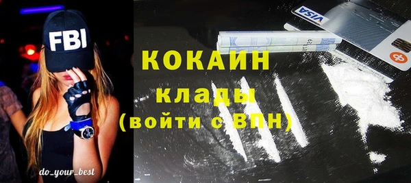 мдпв Горнозаводск