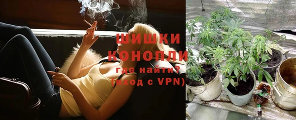 прущие грибы Горняк